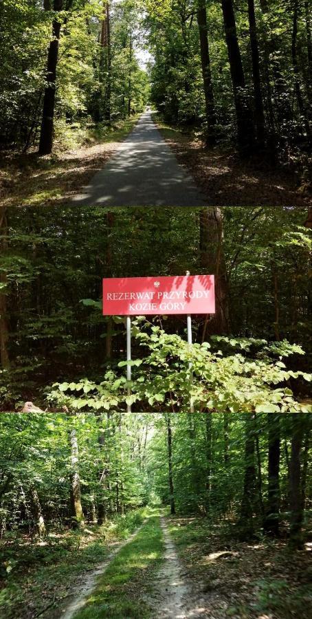 Agroturystyka U Izabelli Niemce Exterior photo